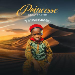 Tinzanwatin