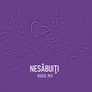 Nesăbuiți (Radio Mix)