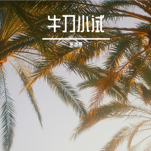 两个人的情歌一个人唱