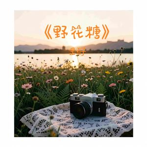 《野花糖》（录音室高清版）