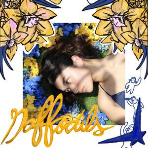 Daffodils