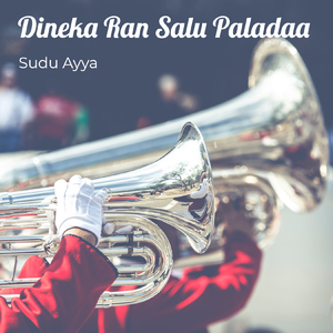 Dineka Ran Salu Paladaa