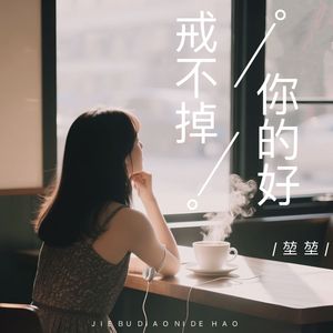 戒不掉你的好（伴奏）