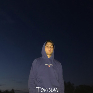 Топим
