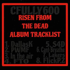 In The Air (feat. Cfully600)