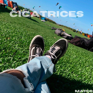 Cicatrices