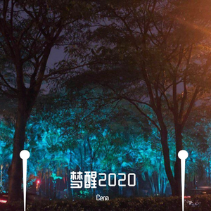 梦醒2020
