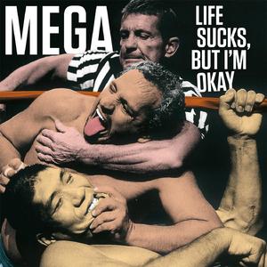 The Strange Vice Of Mrs Wardh