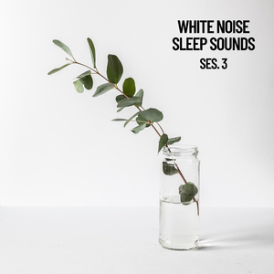 White Noise Chamber