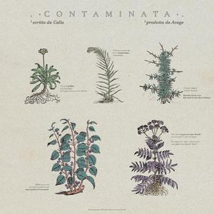 Contaminata (feat. Avage)
