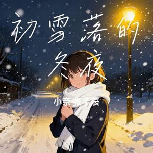 初雪落的冬夜