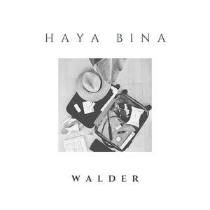 Haya bina