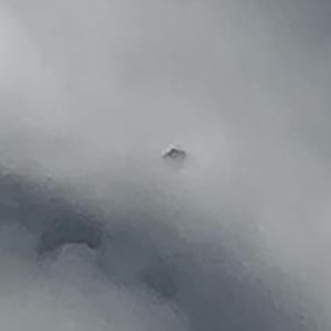 Flying