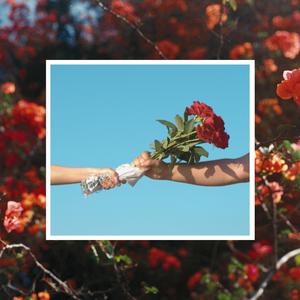 Contender (feat. J-Boy, Kritz Insomnia & $uay Kaay) (Radio Edit)