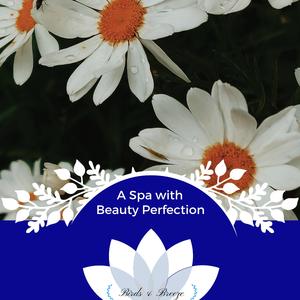 Chiropractic Therapy For Joints