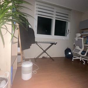 오프닝
