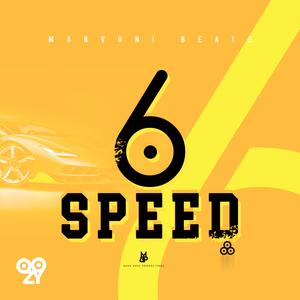6 Speed
