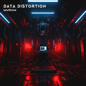Data Distortion