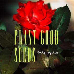 PLANT GOOD SEEDS