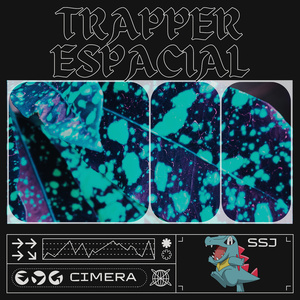TRAPPER ESPACIAL