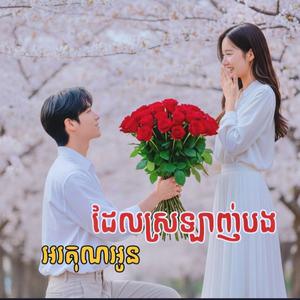 អរគុណអូនដែលស្រឡាញ់បង