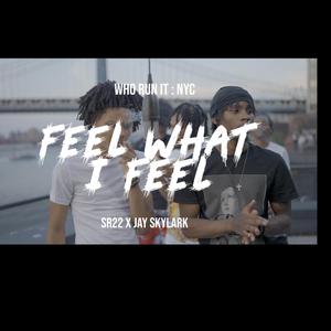 Feel What I Feel (feat. Jayy Skylark)