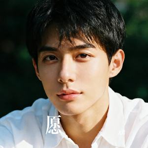 愿