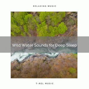 Spring Brook Sounds
