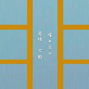 一去不回的爱情