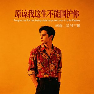 原谅我这一生不能围护你