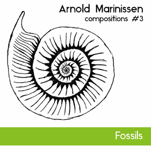 "Variances" for jazz guitar, piano and shadow players (2017-21)