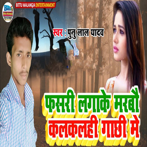 Fasari Lagake Marabau Kalkalhi Gachhi Me