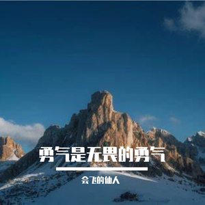 勇气是无畏的勇气
