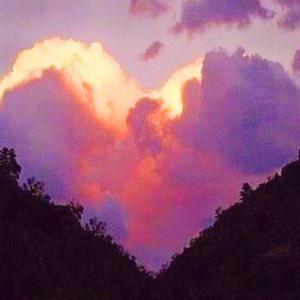 旧词（翻自 愚青）