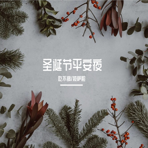 圣诞节平安夜