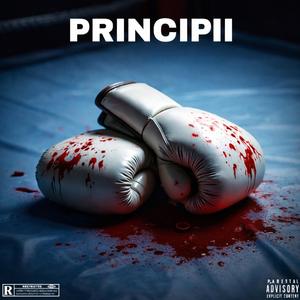 PRINCIPII (feat. DanX)