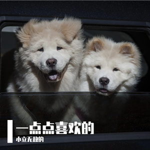 开往早晨的午夜