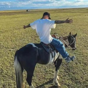 《午夜十二点的钟摆》