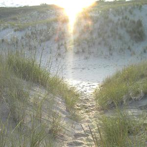 A Tale Of The Prophecy