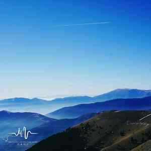 听海鸥修禅 (减压助眠古筝曲)