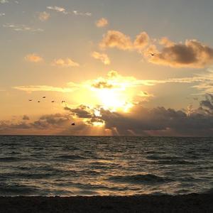 《陈小姐的话》- 瘦瘦爱吃肉