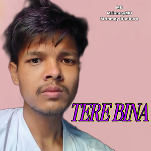TERE BINA