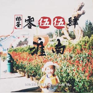 标签零伍伍肆