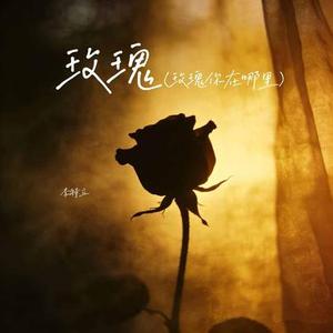 玫瑰 (Cover 贰佰)