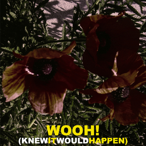 WOOH! (KNEW IT WOULD HAPPEN)