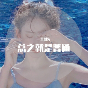 ビンクスの酒 (Cover.田中真弓)