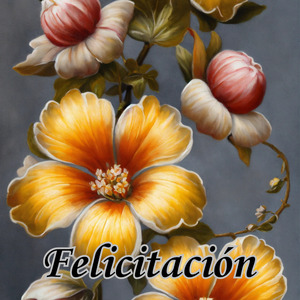 Felicitación
