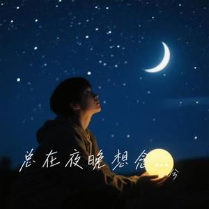 总在夜晚想念你