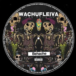 Wachufleiva 38-1 (Original Mix)