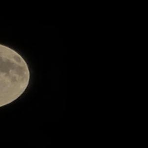 If I ever made you smile